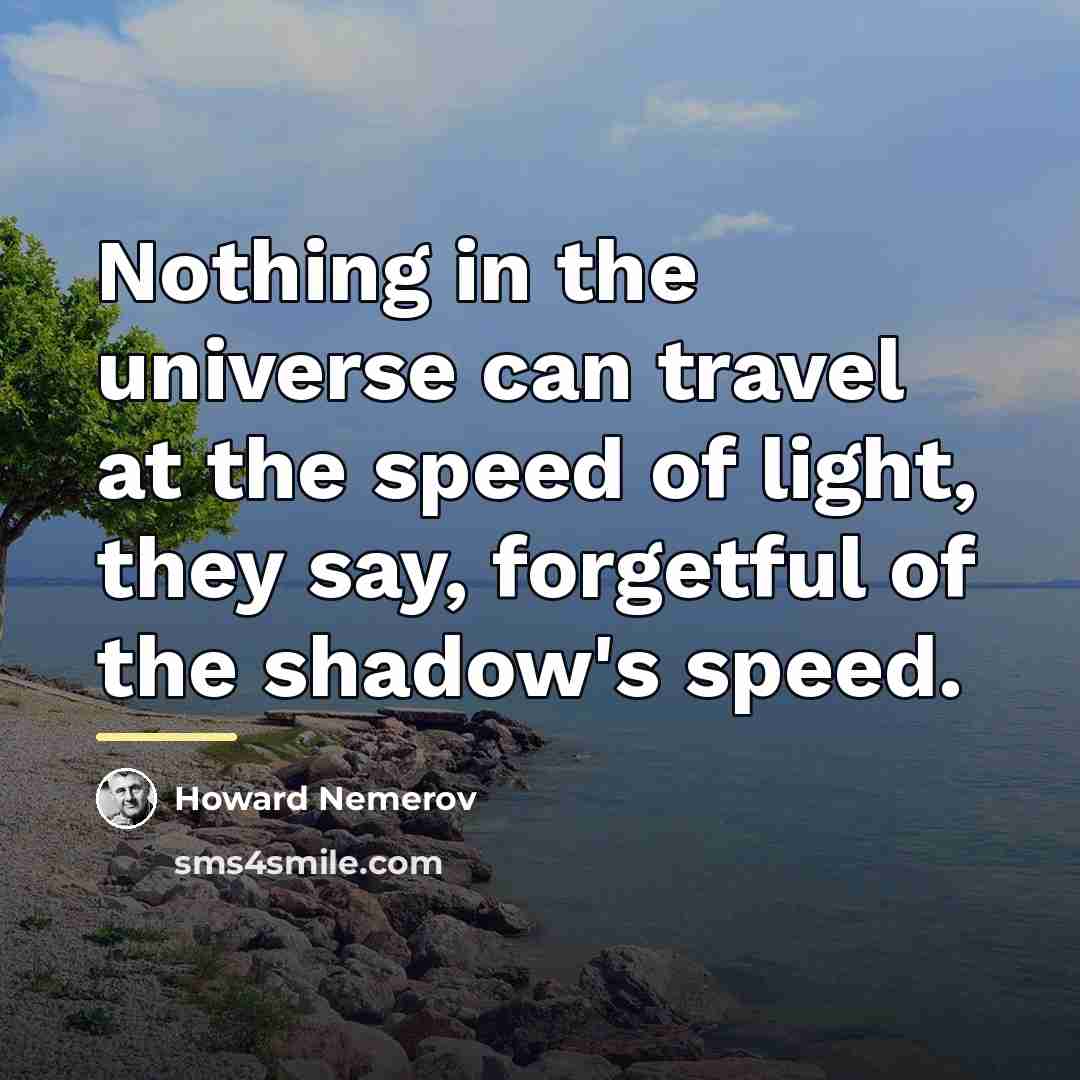 “Nothing in the universe can travel at the speed of…” quote by Howard Nemerov