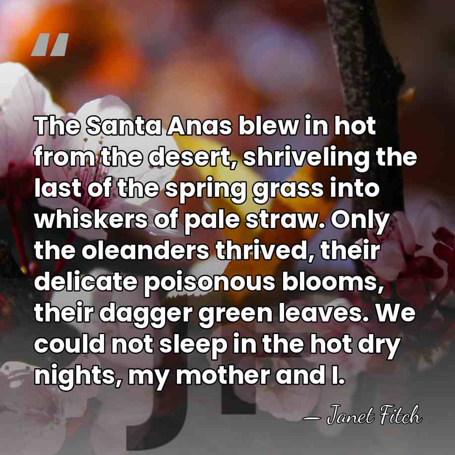 The Santa Anas blew in hot from the desert, shriveling the last&hellip; - Janet Fitch