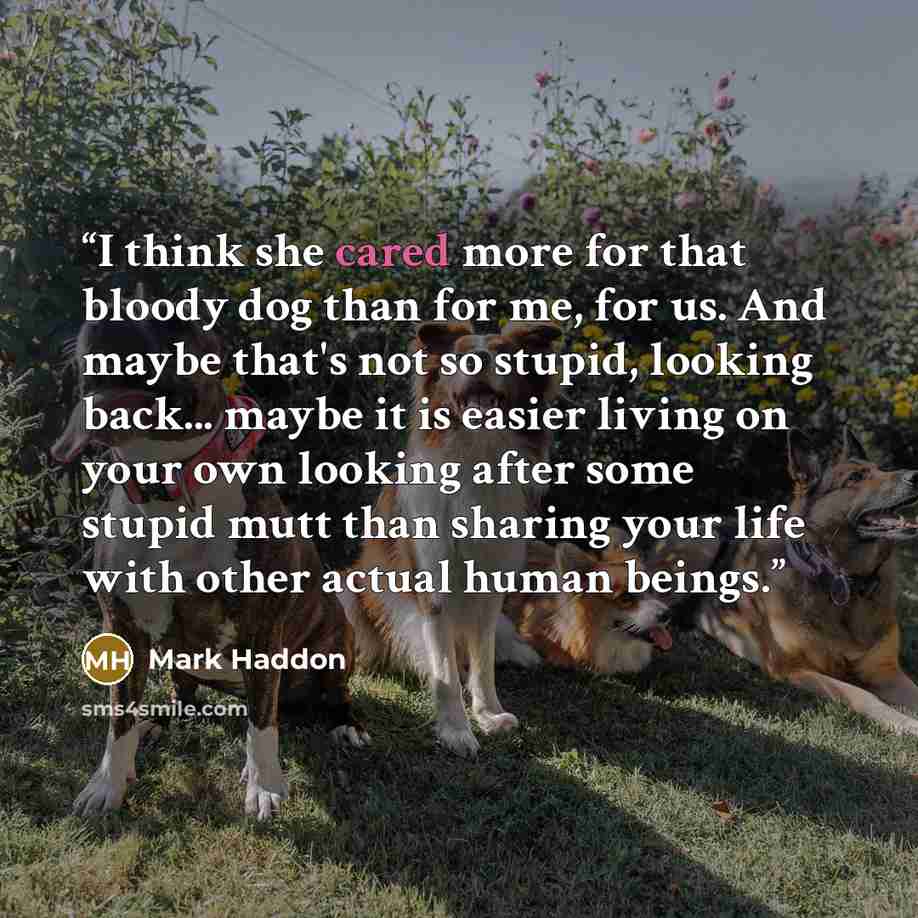 “I think she cared more for that bloody dog than for me, for us. And maybe that's not so stupid, looking back... maybe it is easier living on your own looking after some stupid mutt than sharing your life with other actual human beings.” quote by Mark Haddon
