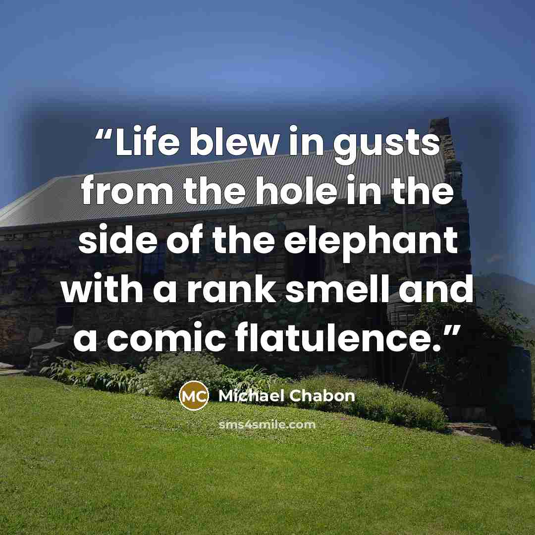 “Life blew in gusts from the hole in the side of the elephant with a rank smell and a comic flatulence.” quote by Michael Chabon