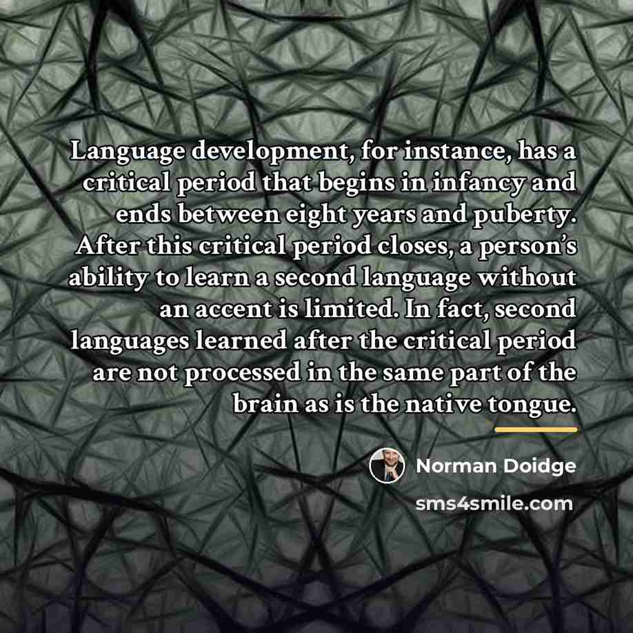 “Language development, for instance, has a critical period that begins…” quote by Norman Doidge