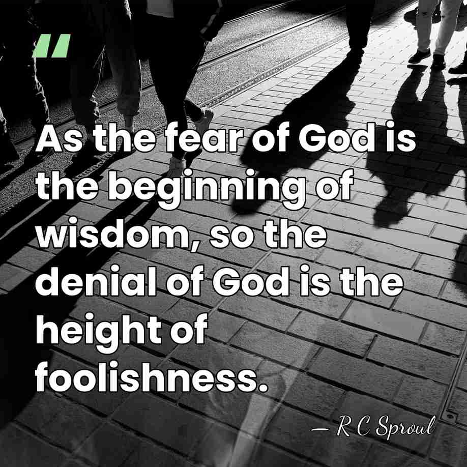 As the fear of God is the beginning of wisdom, so the&hellip; - R C Sproul