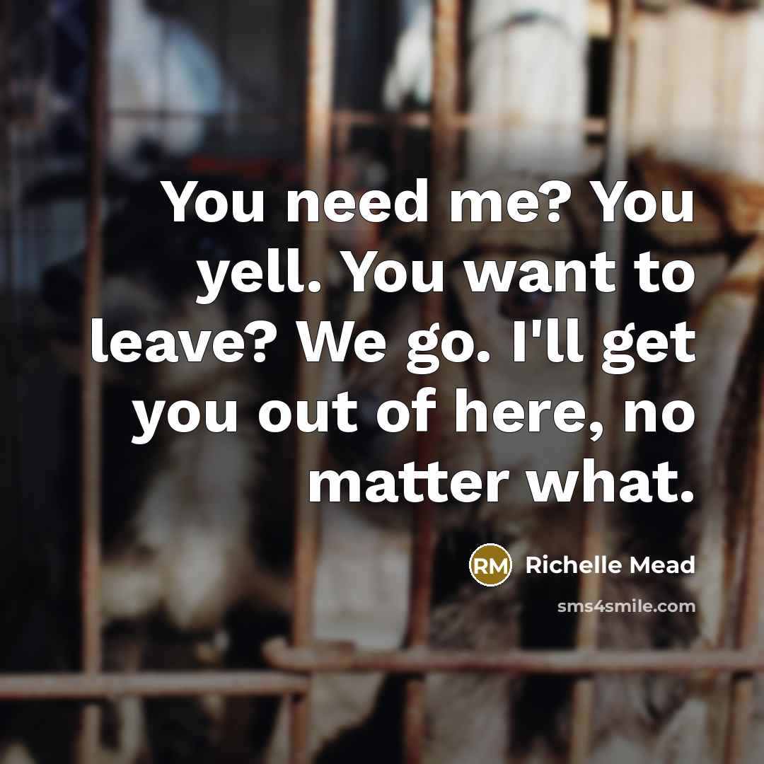 “You need me? You yell. You want to leave? We go. I'll get you out of here, no matter what.” quote by Richelle Mead
