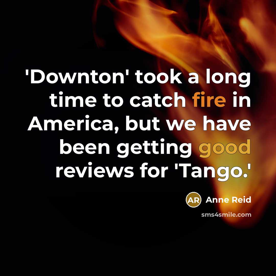 “'Downton' took a long time to catch fire in America,…” quote by Anne Reid