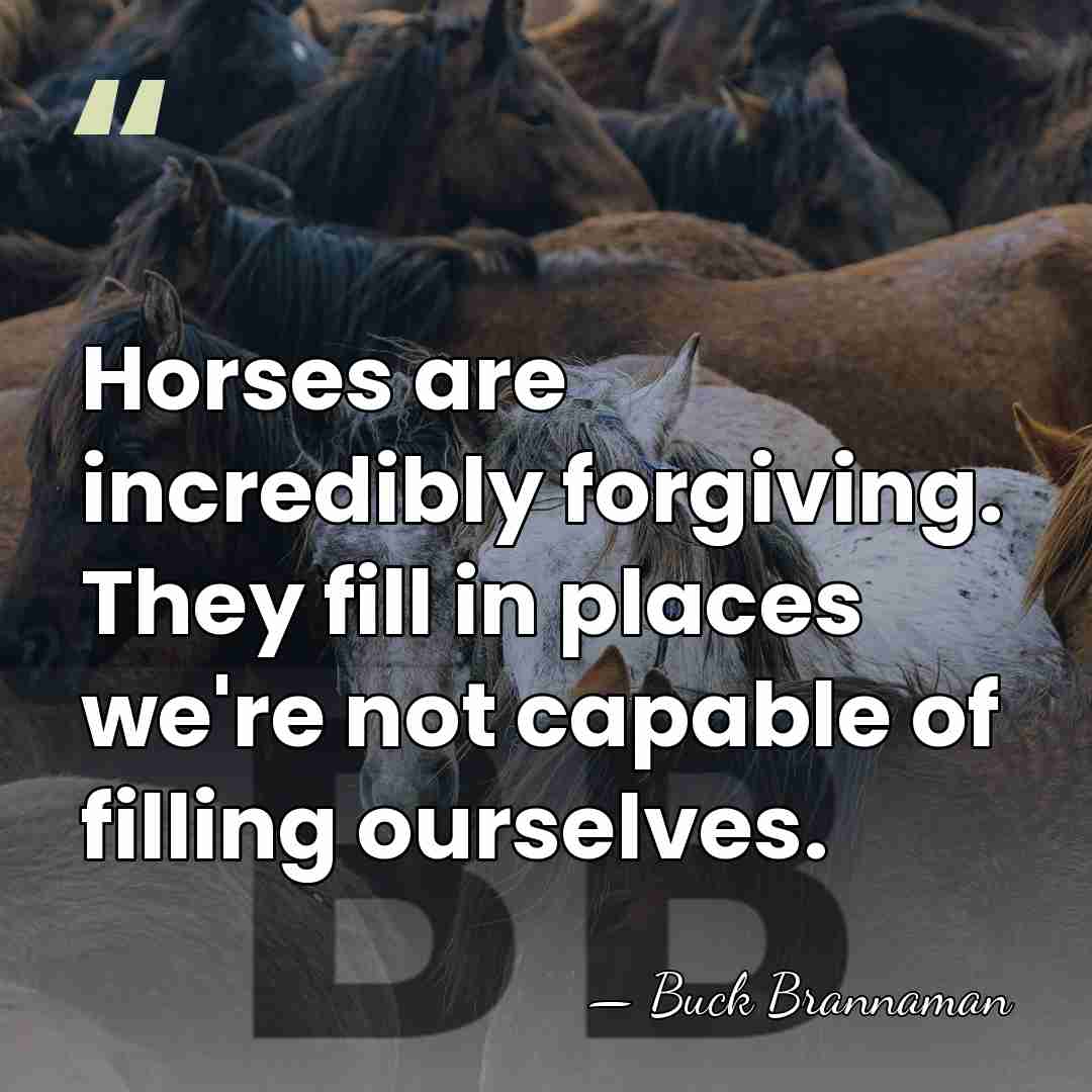 Horses are incredibly forgiving. They fill in places we're not capable of&hellip; - Buck Brannaman