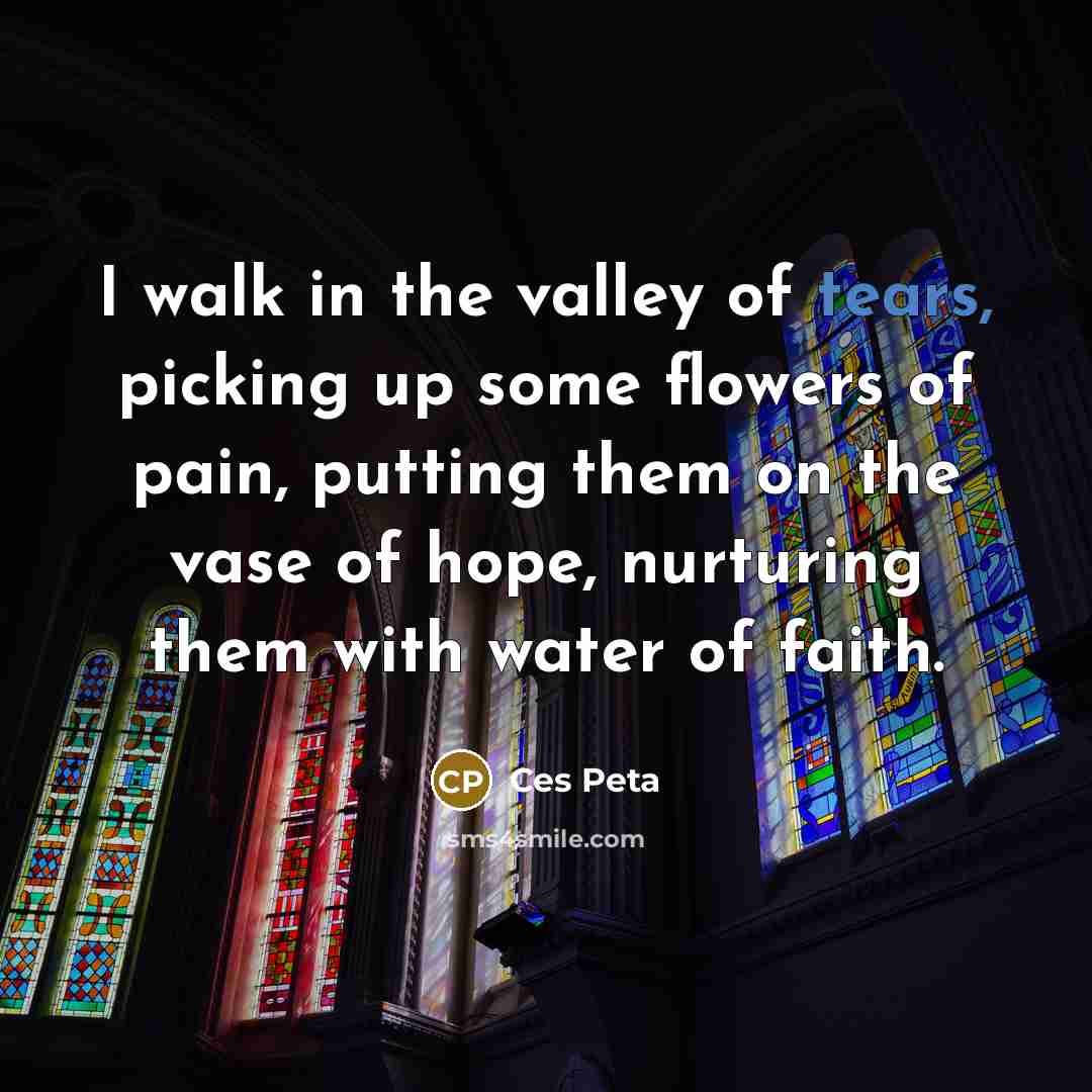 “I walk in the valley of tears, picking up some…” quote by Ces Peta