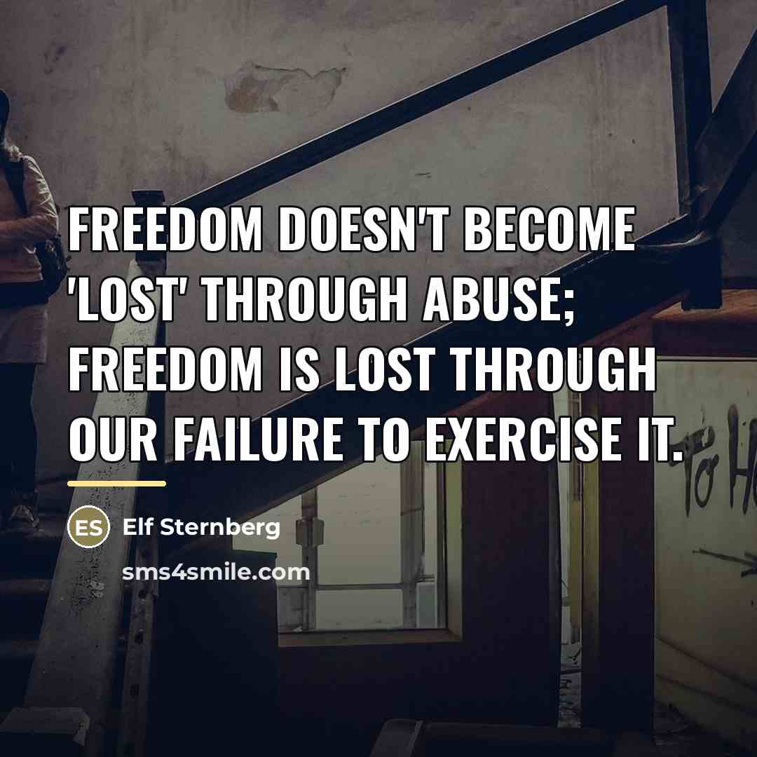 “Freedom doesn't become 'lost' through abuse; freedom is lost through…” quote by Elf Sternberg