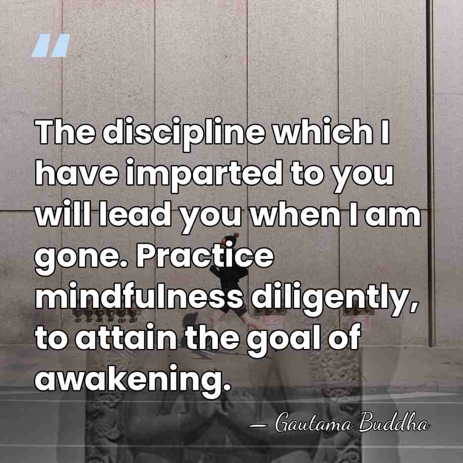 The discipline which I have imparted to you will lead you when&hellip; - Gautama Buddha