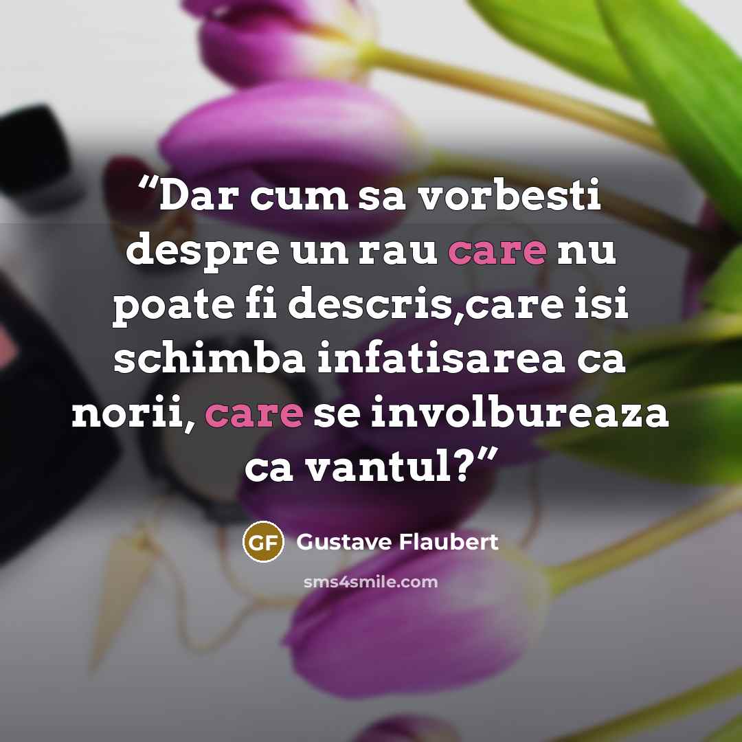 “Dar cum sa vorbesti despre un rau care nu poate fi descris,care isi schimba infatisarea ca norii, care se involbureaza ca vantul?” quote by Gustave Flaubert