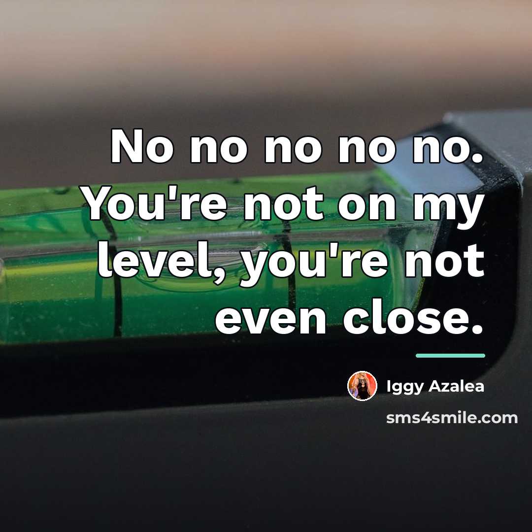 “No no no no no. You're not on my level,…” quote by Iggy Azalea