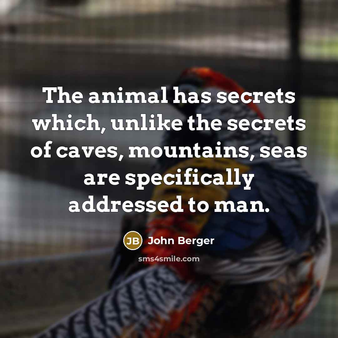 “The animal has secrets which, unlike the secrets of caves,…” quote by John Berger