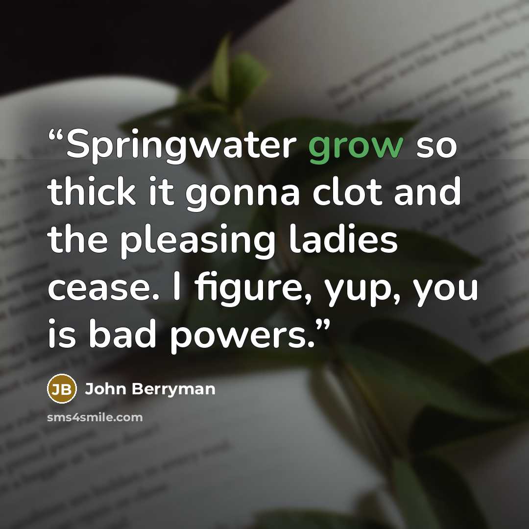 “Springwater grow so thick it gonna clot and the pleasing ladies cease. I figure, yup, you is bad powers.” quote by John Berryman