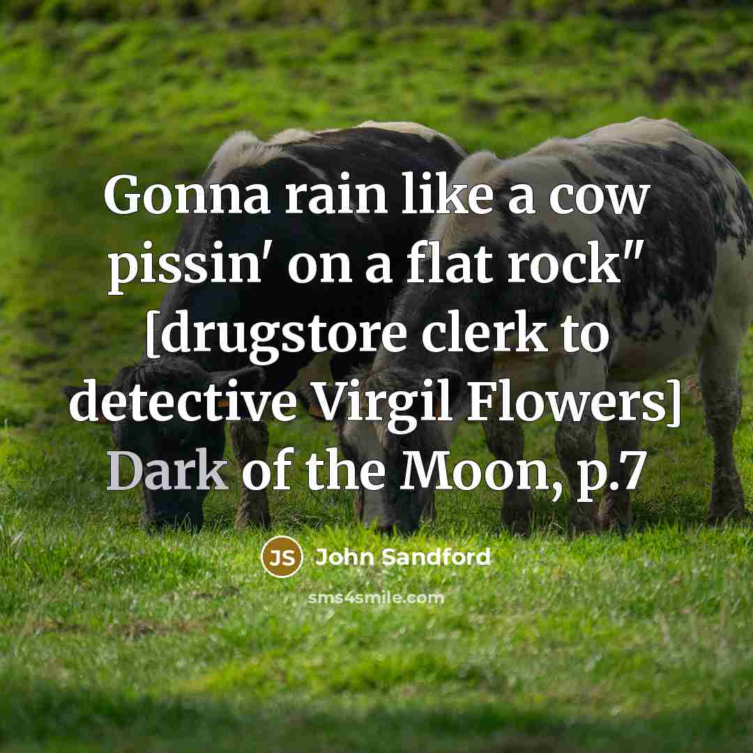 “Gonna rain like a cow pissin' on a flat rock"…” quote by John Sandford