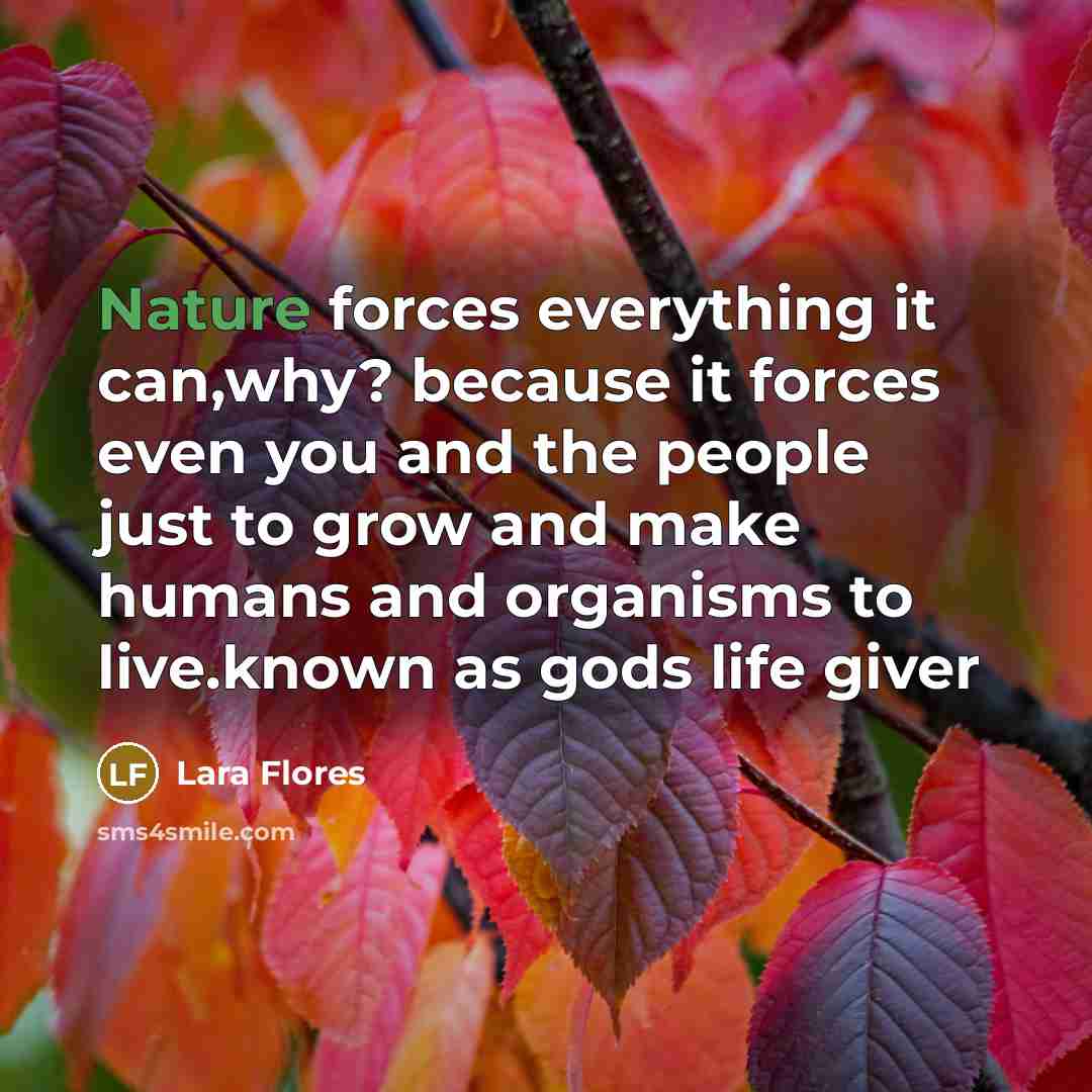 “Nature forces everything it can,why? because it forces even you…” quote by Lara Flores