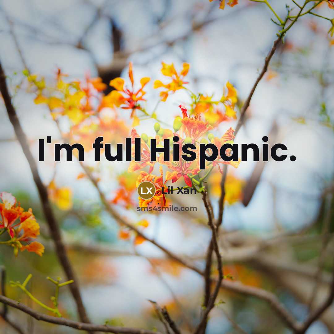 “I'm full Hispanic.…” quote by Lil Xan