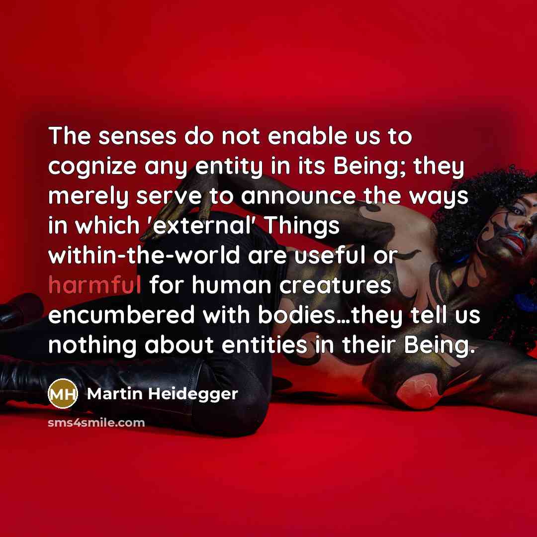 “The senses do not enable us to cognize any entity…” quote by Martin Heidegger