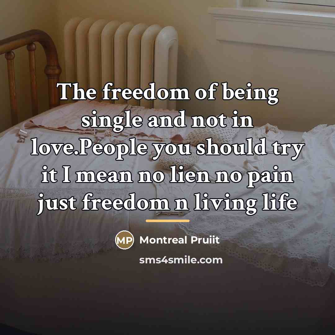 “The freedom of being single and not in love.People you…” quote by Montreal Pruiit
