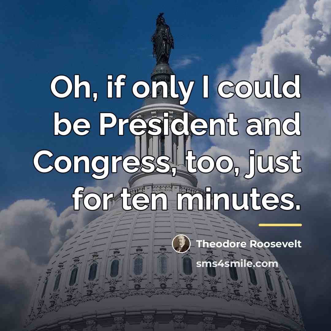 “Oh, if only I could be President and Congress, too,…” quote by Theodore Roosevelt