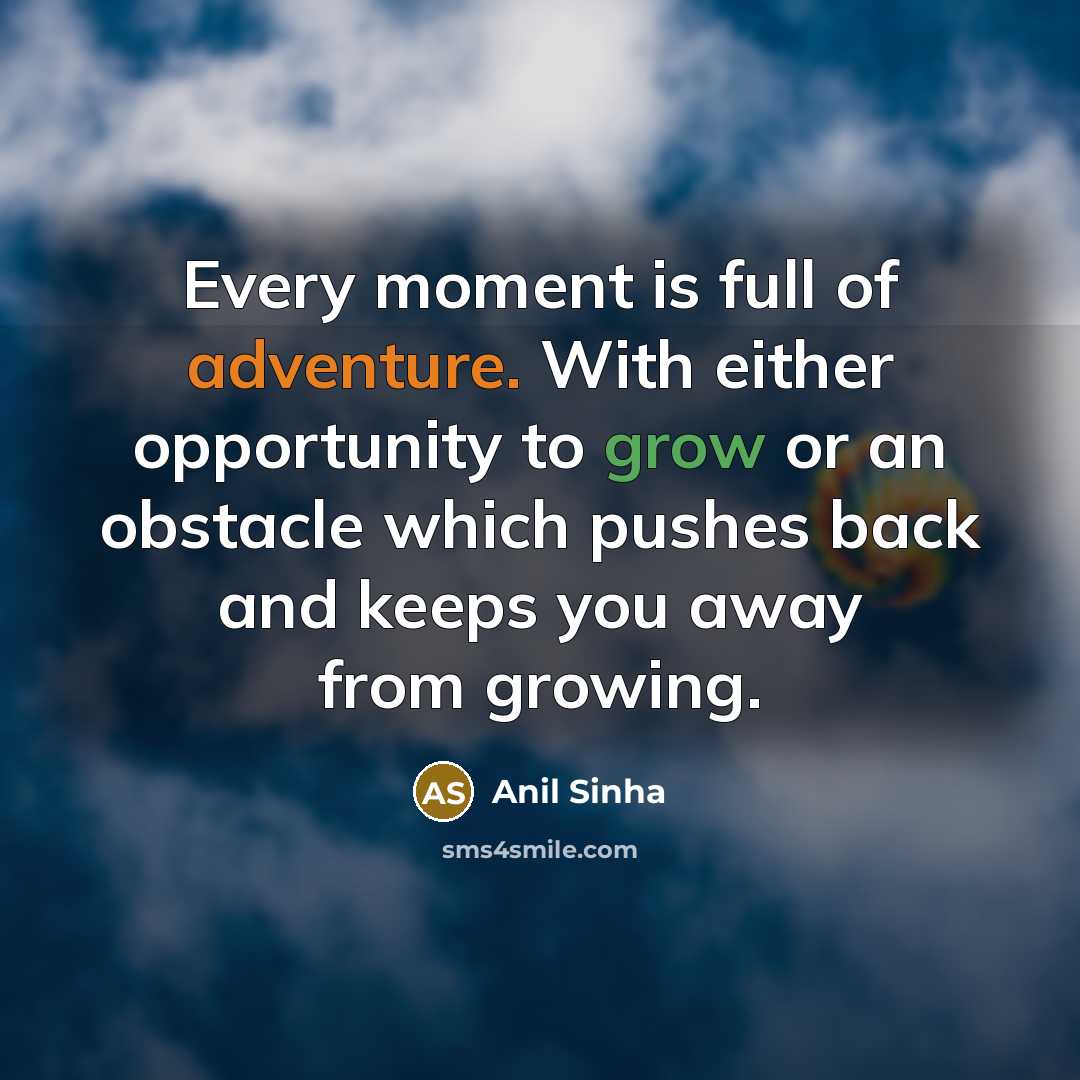 “Every moment is full of adventure. With either opportunity to…” quote by Anil Sinha