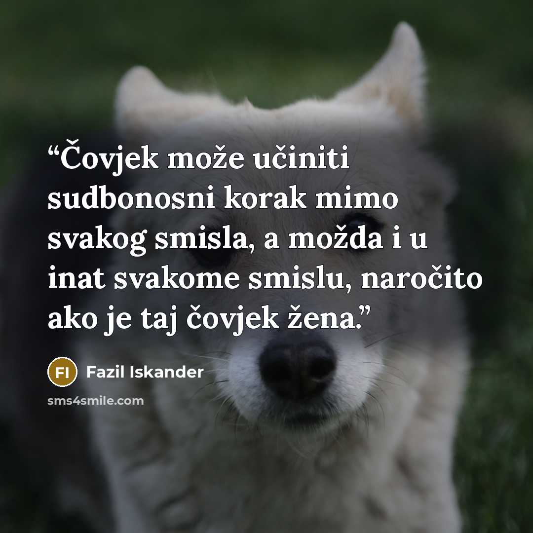 “Čovjek može učiniti sudbonosni korak mimo svakog smisla, a možda i u inat svakome smislu, naročito ako je taj čovjek žena.” quote by Fazil Iskander