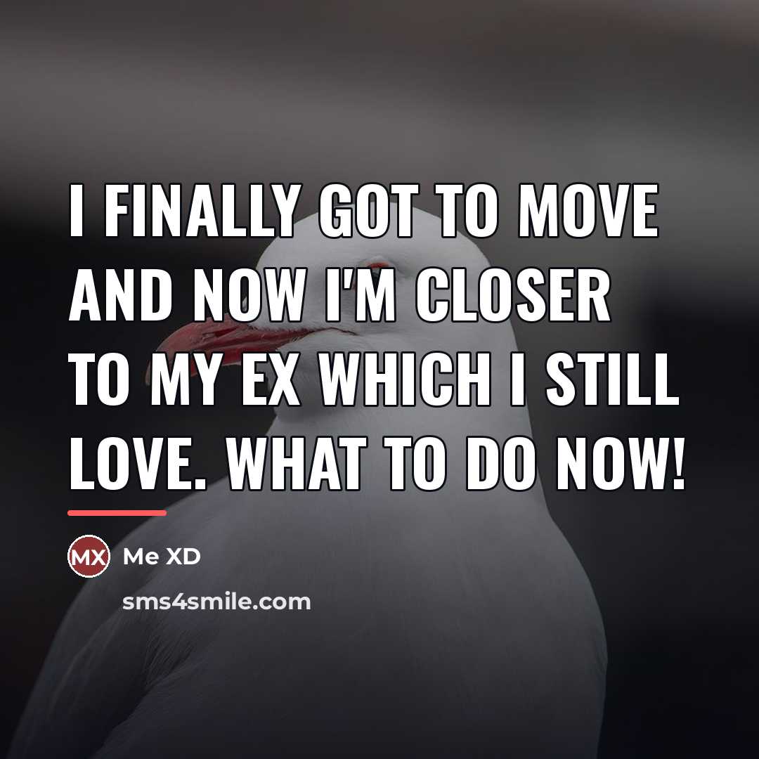 “I finally got to move and now I'm closer to…” quote by Me XD