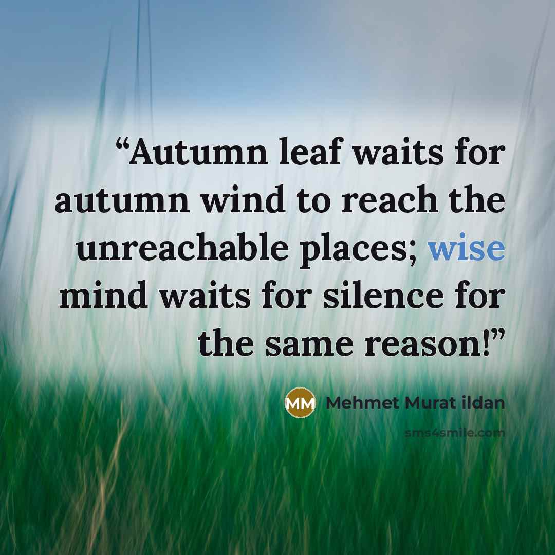 “Autumn leaf waits for autumn wind to reach the unreachable places; wise mind waits for silence for the same reason!” quote by Mehmet Murat ildan