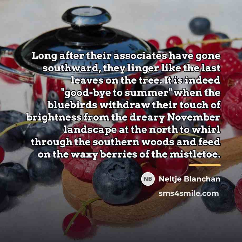 “Long after their associates have gone southward, they linger like…” quote by Neltje Blanchan