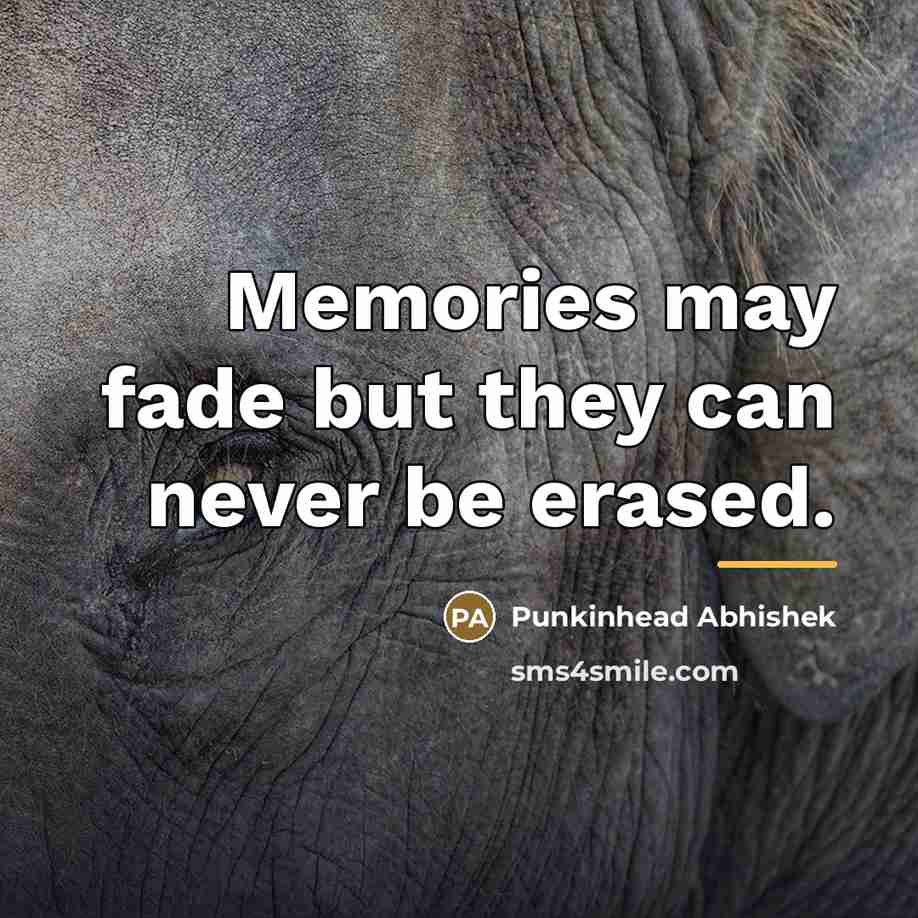 “Memories may fade but they can never be erased.…” quote by Punkinhead Abhishek