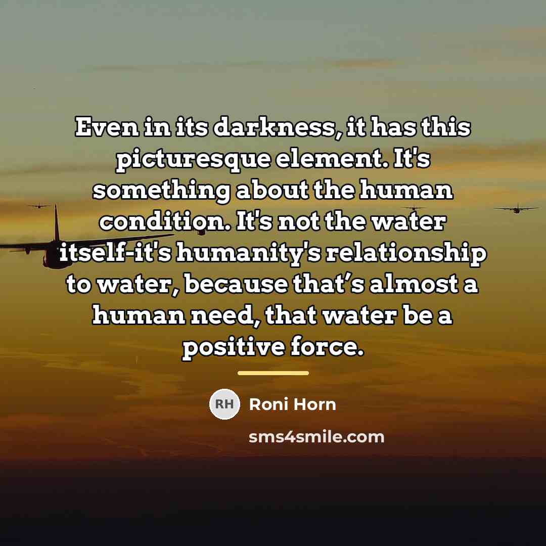 “Even in its darkness, it has this picturesque element. It's…” quote by Roni Horn