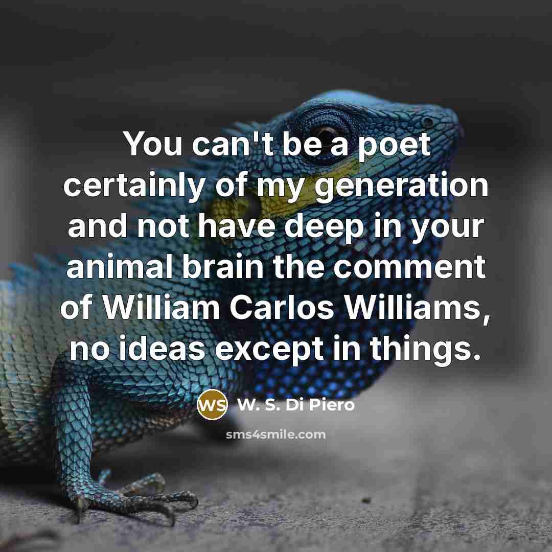 “You can't be a poet certainly of my generation and…” quote by W. S. Di Piero
