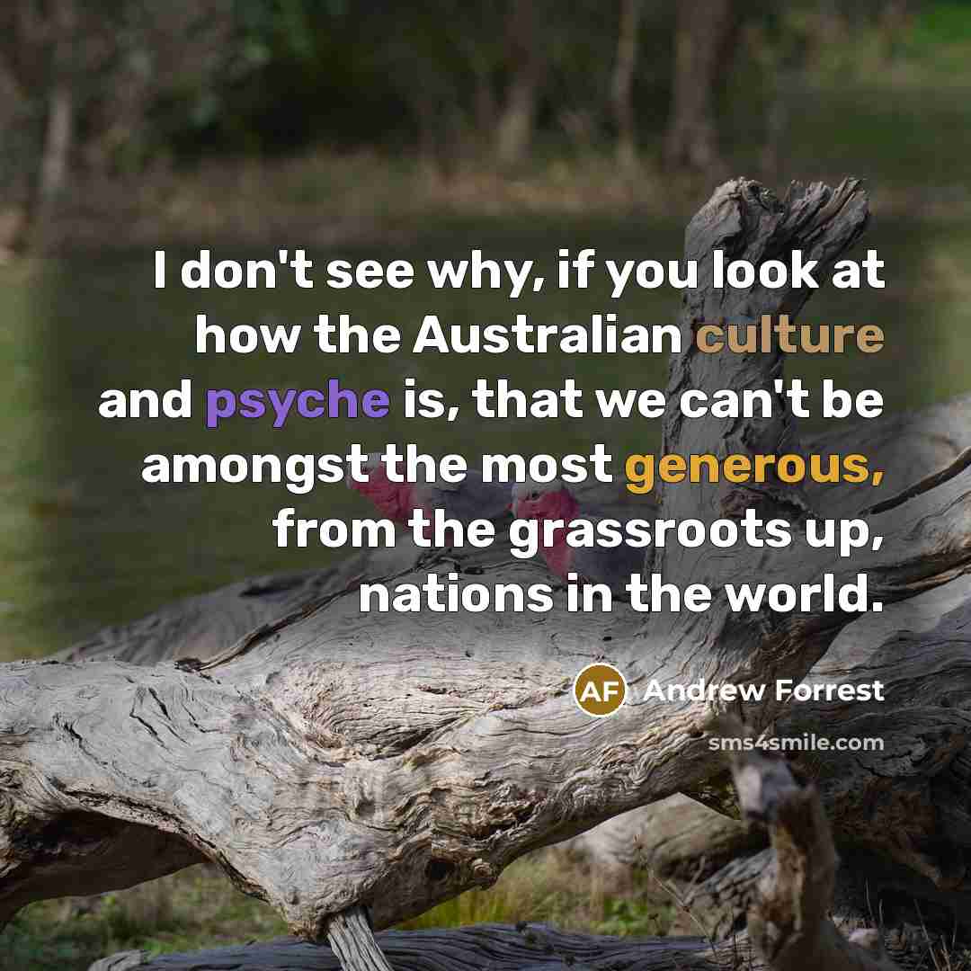 “I don't see why, if you look at how the…” quote by Andrew Forrest
