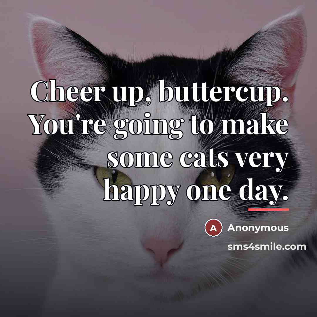 “Cheer up, buttercup. You're going to make some cats very happy one day.” quote by Anonymous