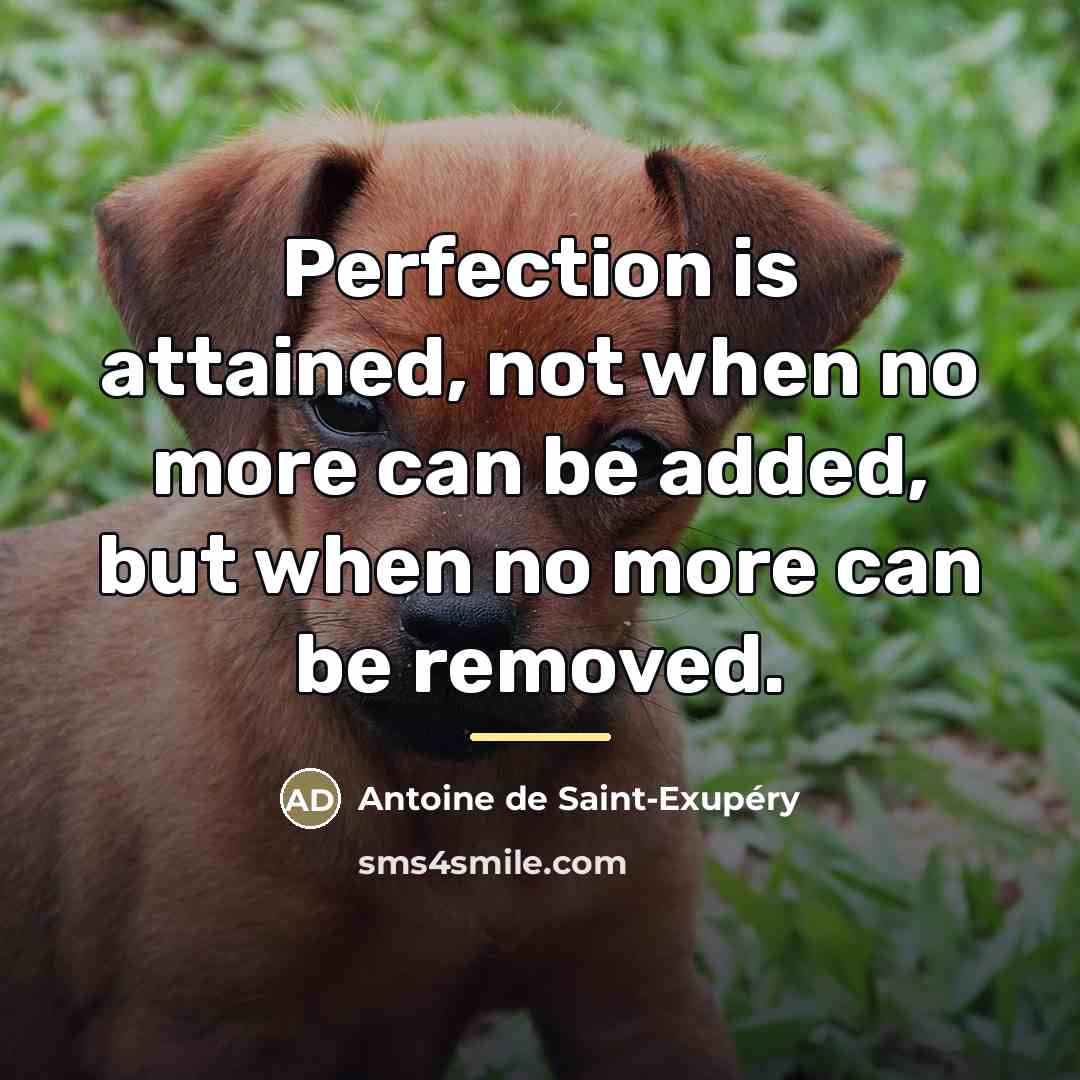 “Perfection is attained, not when no more can be added,…” quote by Antoine de Saint-Exupery