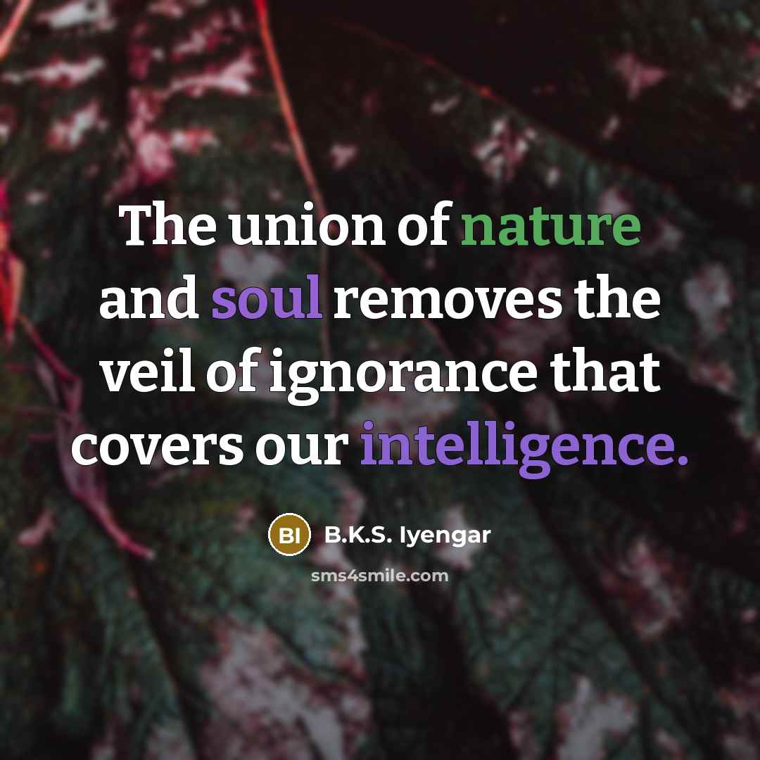 “The union of nature and soul removes the veil of…” quote by B.K.S. Iyengar