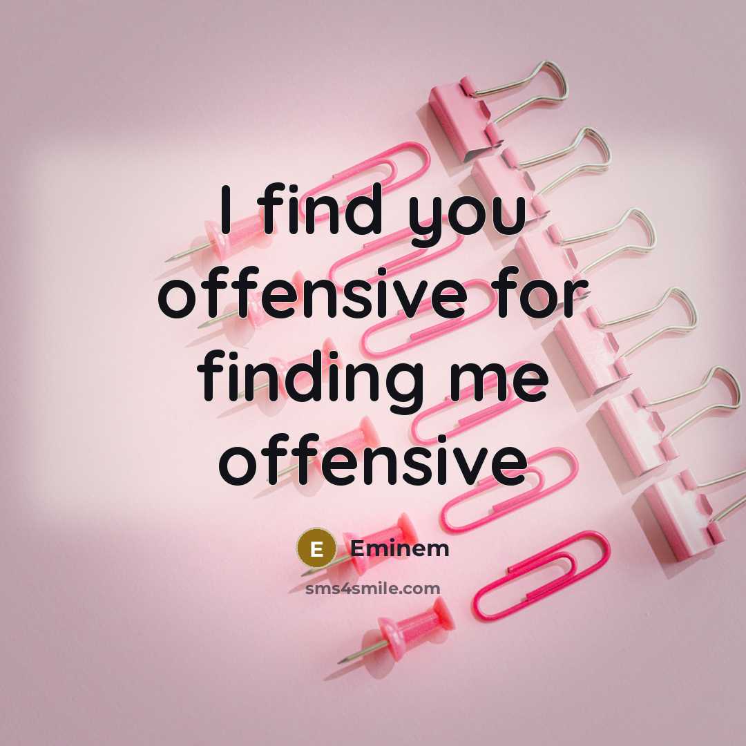 “I find you offensive for finding me offensive…” quote by Eminem