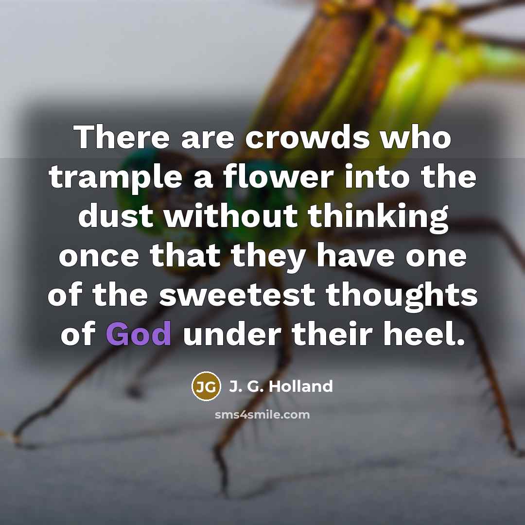 “There are crowds who trample a flower into the dust…” quote by J. G. Holland