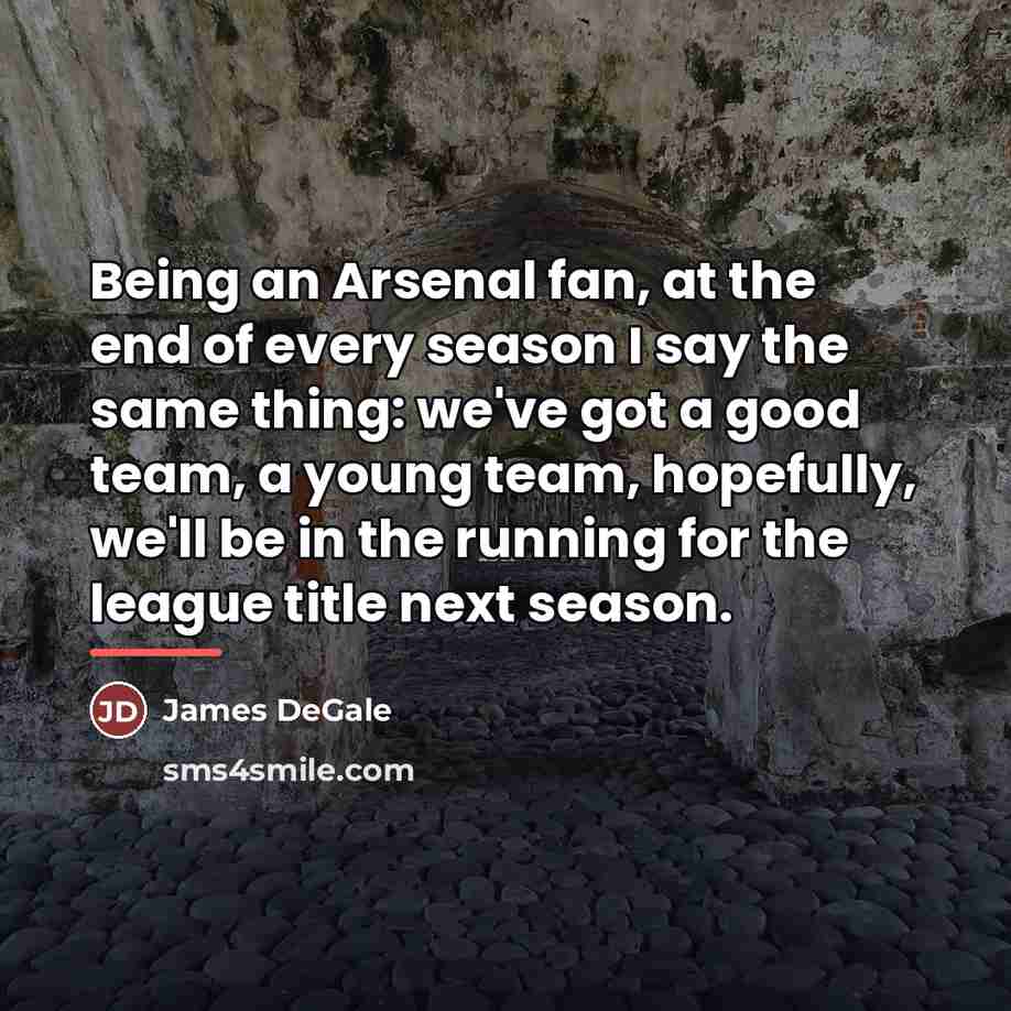“Being an Arsenal fan, at the end of every season…” quote by James DeGale