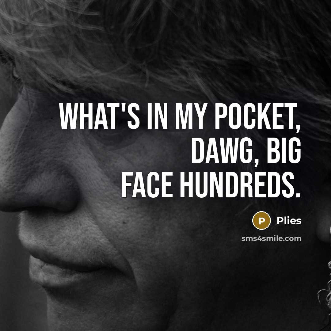 “What's in my pocket, dawg, big face hundreds.” quote by Plies