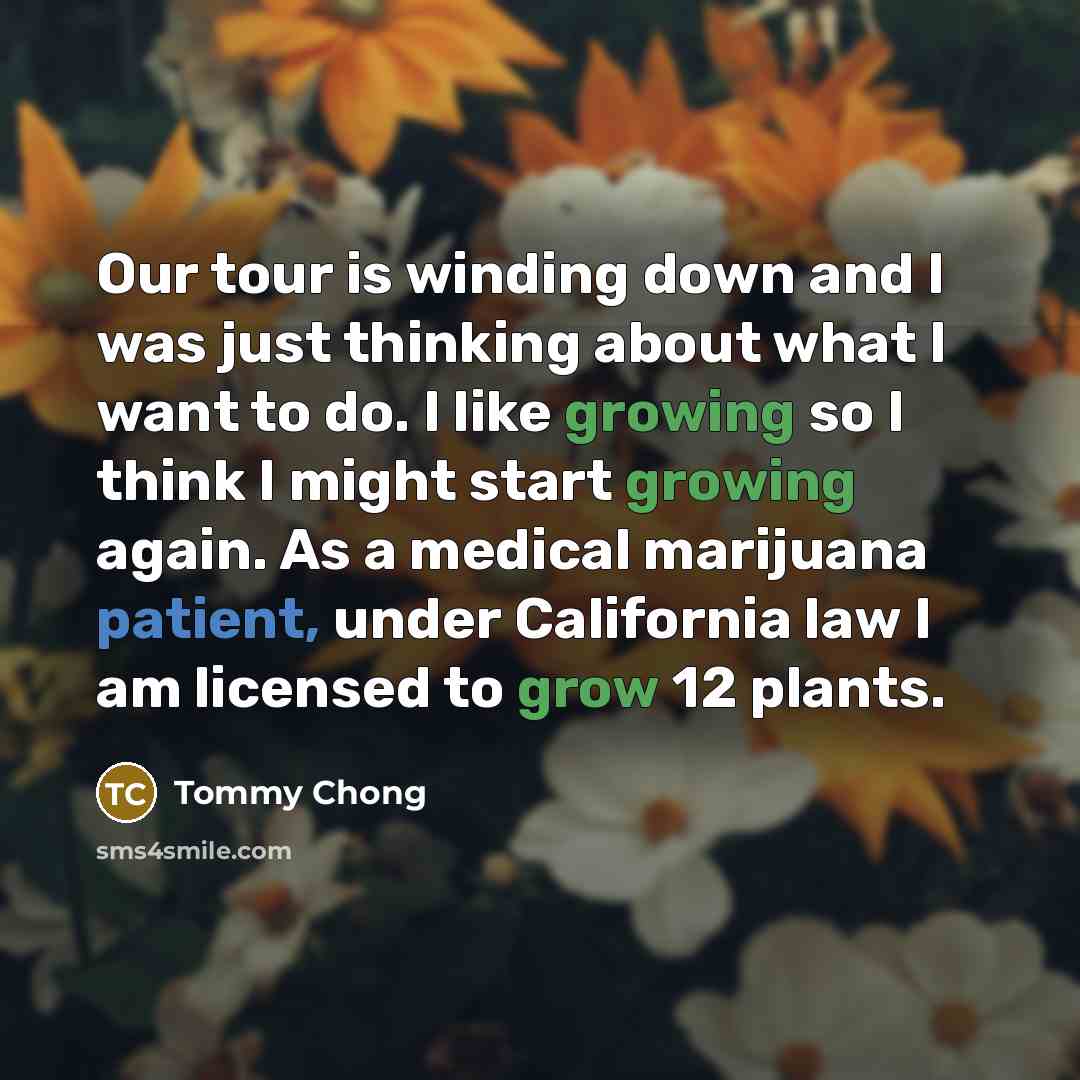 “Our tour is winding down and I was just thinking…” quote by Tommy Chong