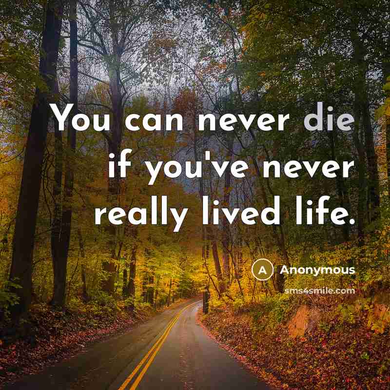 “You can never die if you've never really lived life.…” quote by Anonymous