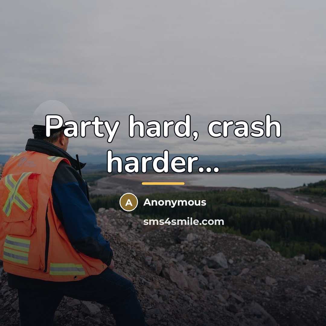 “Party hard, crash harder...…” quote by Anonymous