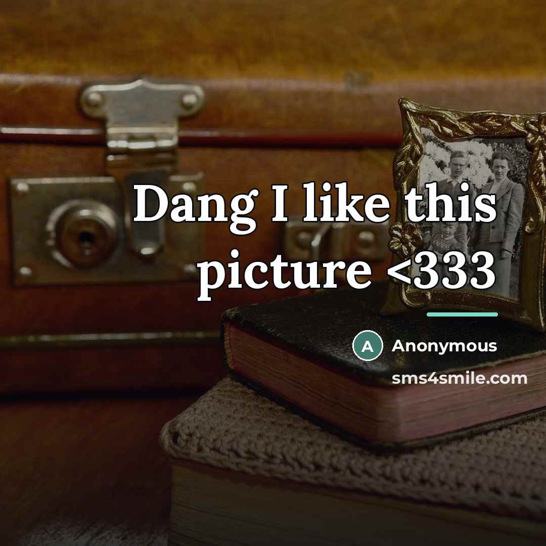 “Dang I like this picture…” quote by Anonymous