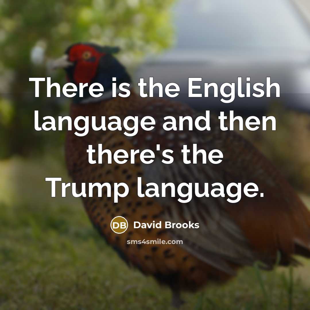 “There is the English language and then there's the Trump…” quote by David Brooks