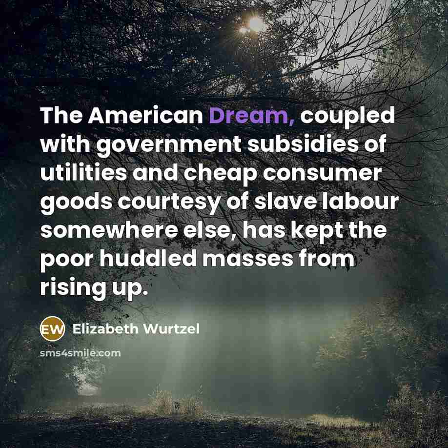 “The American Dream, coupled with government subsidies of utilities and…” quote by Elizabeth Wurtzel