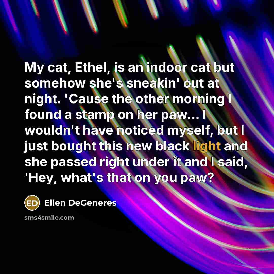 “My cat, Ethel, is an indoor cat but somehow she's…” quote by Ellen DeGeneres