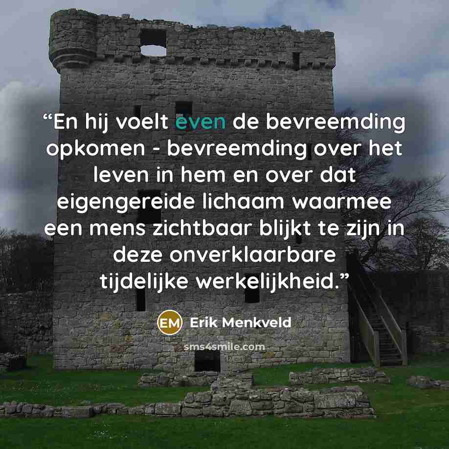 “En hij voelt even de bevreemding opkomen - bevreemding over het leven in hem en over dat eigengereide lichaam waarmee een mens zichtbaar blijkt te zijn in deze onverklaarbare tijdelijke werkelijkheid.” quote by Erik Menkveld