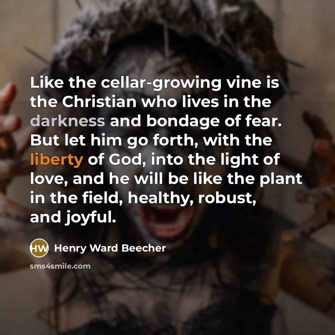 “Like the cellar-growing vine is the Christian who lives in…” quote by Henry Ward Beecher