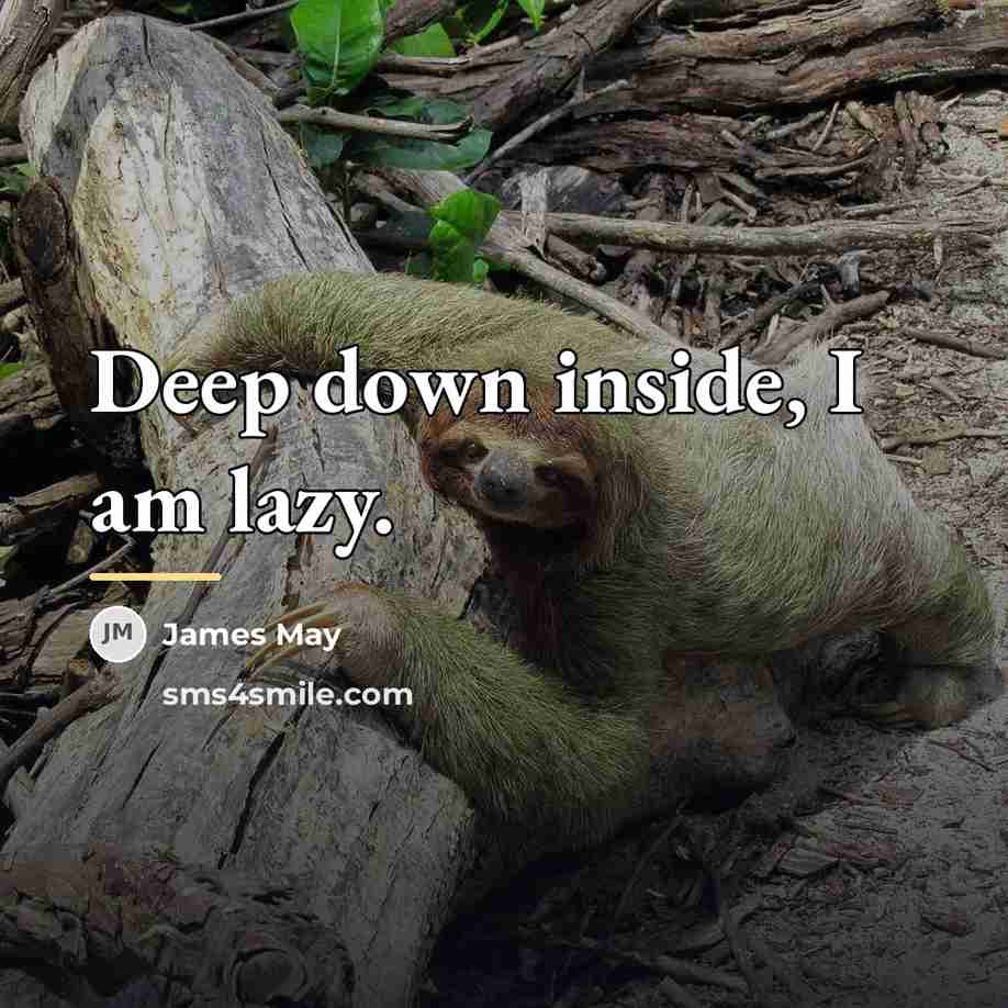 “Deep down inside, I am lazy.…” quote by James May