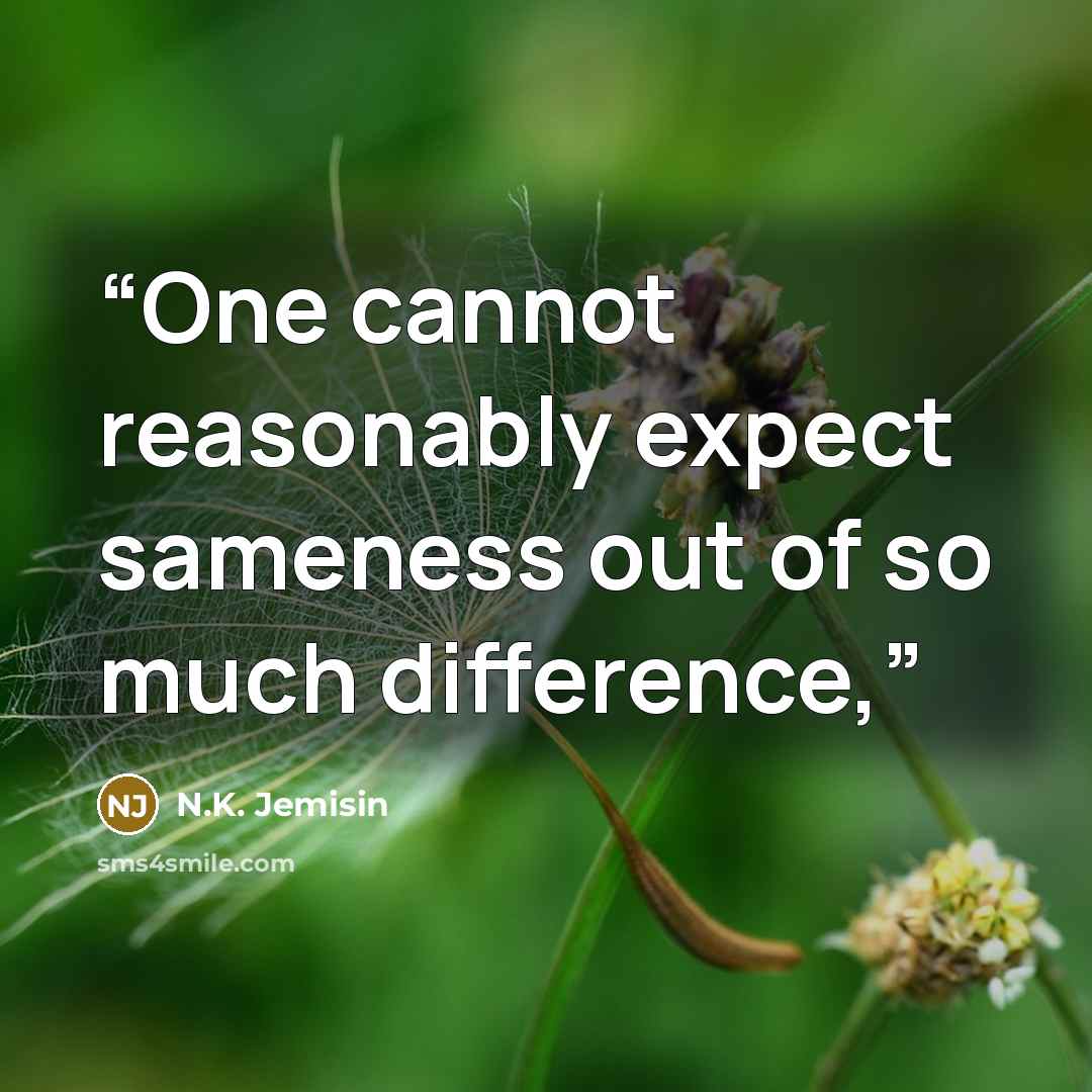 “One cannot reasonably expect sameness out of so much difference,” quote by N.K. Jemisin