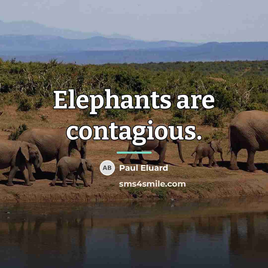 “Elephants are contagious.…” quote by Paul Eluard
